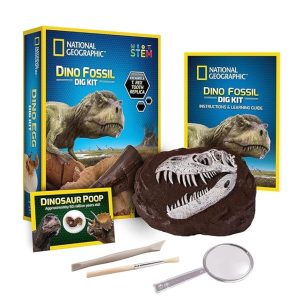 NG120029650000 NAT GEO DINO FOSSIL DIG KIT 5