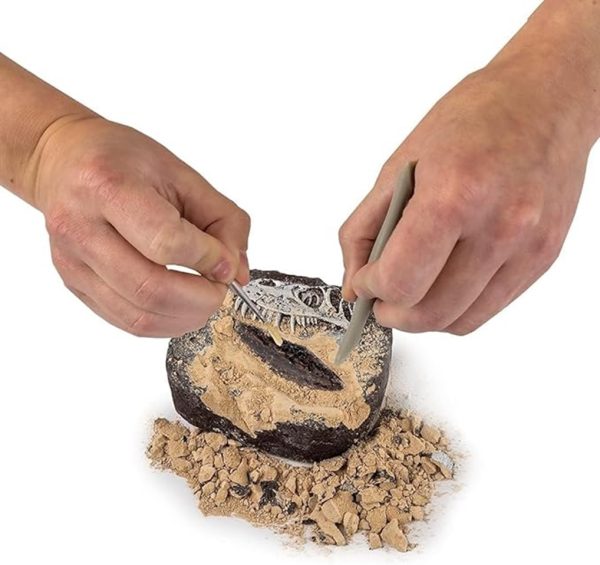 NG120029650000 NAT GEO DINO FOSSIL DIG KIT 2